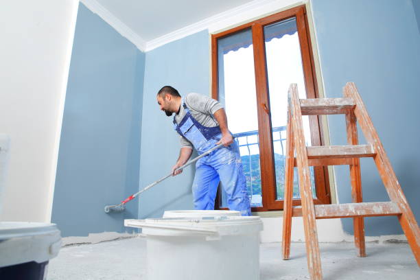 Best Wallpaper Removal and Painting  in Greenup, IL